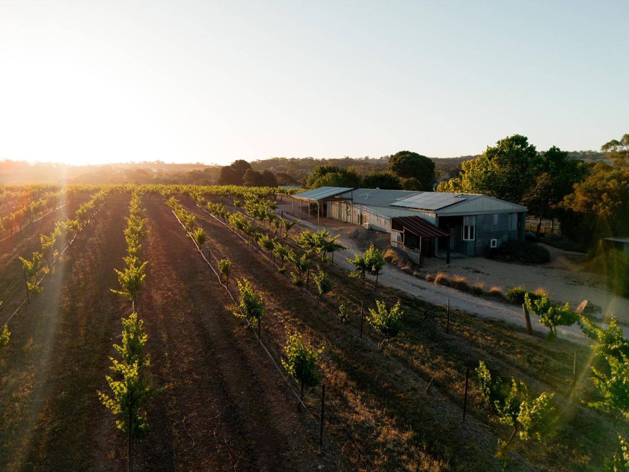 Bed In A Shed Vineyard Stay Watervale Εξωτερικό φωτογραφία